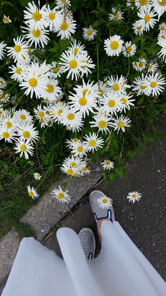 f:id:sakii7:20180630025024j:plain