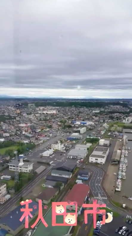 f:id:sakii7:20180709064018p:plain