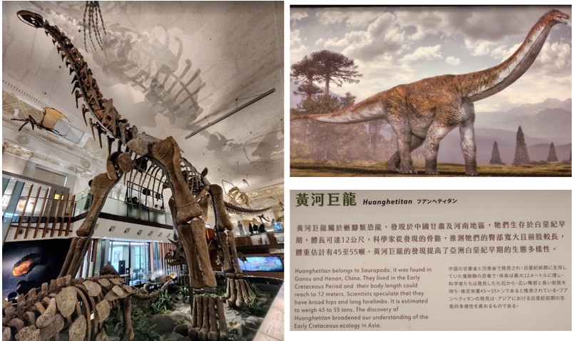 中国語の恐竜の名前で楽しめた国立台湾博物館分館 - 役に立つかは別として