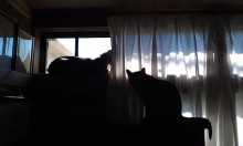 内装ホイールの出張修理☆佐藤企画のブログ