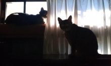 内装ホイールの出張修理☆佐藤企画のブログ