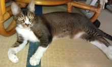 内装ホイールの出張修理☆佐藤企画のブログ