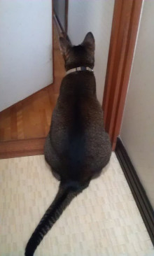 内装ホイールの出張修理☆佐藤企画のブログ