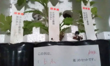 内装ホイールの出張修理☆佐藤企画のブログ