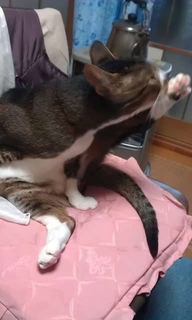 内装ホイールの出張修理☆埼玉の佐藤企画
