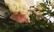 内装ホイールの出張修理☆埼玉の佐藤企画