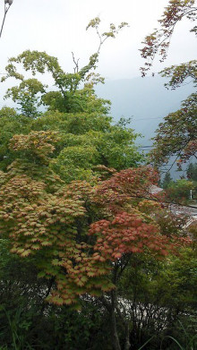 佐藤企画