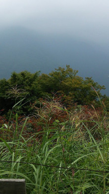 佐藤企画
