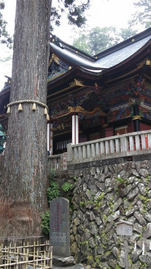 佐藤企画