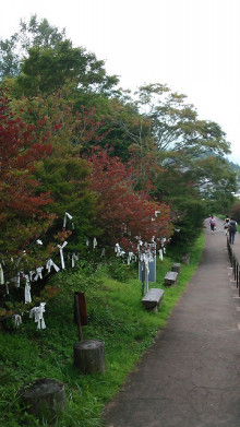 佐藤企画