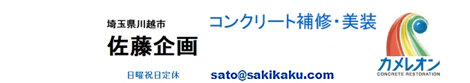 f:id:sakikaku2009:20190509215554j:plain