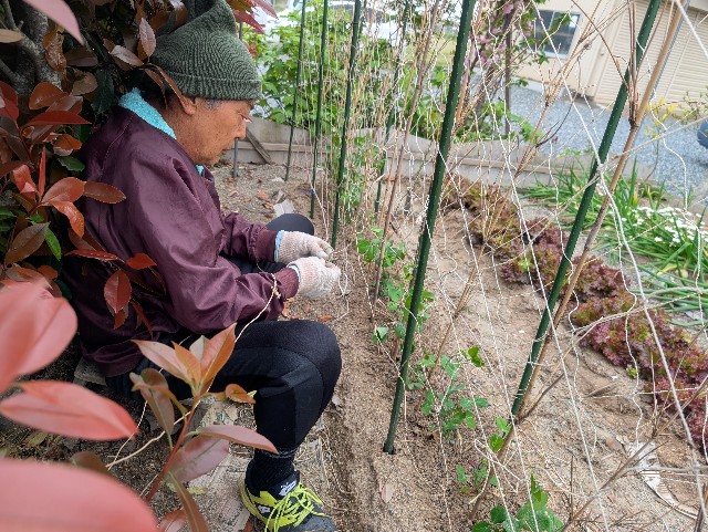 f:id:sakimama0310:20250420214602j:image