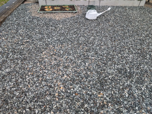 f:id:sakimama0310:20250420215116j:image