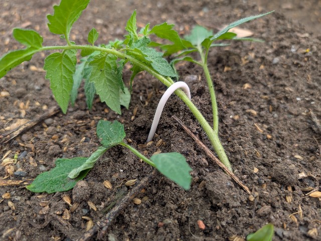 f:id:sakimama0310:20250423224112j:image