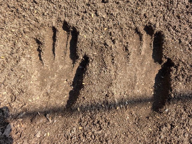 f:id:sakimama0310:20250427224706j:image