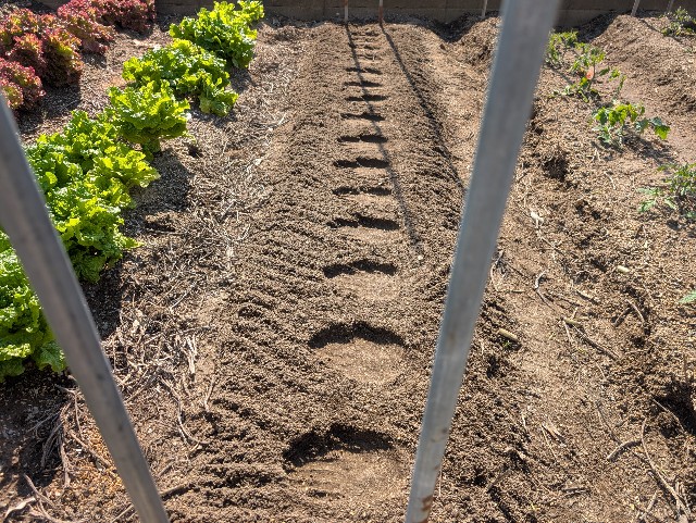 f:id:sakimama0310:20250427224856j:image