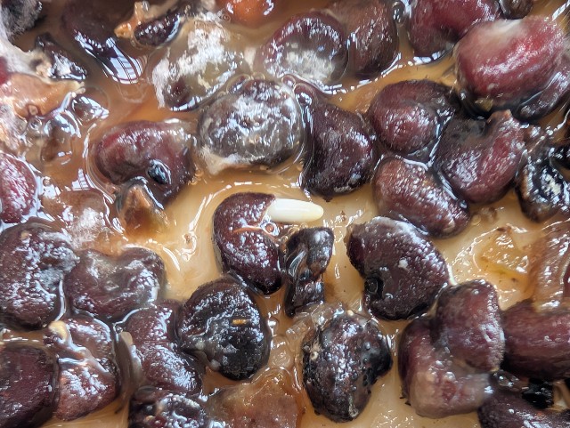 f:id:sakimama0310:20250427230330j:image