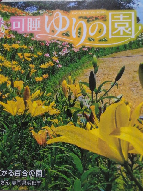 f:id:sakimama0310:20250624204659j:image f:id:sakimama0310:20250624204659j:image