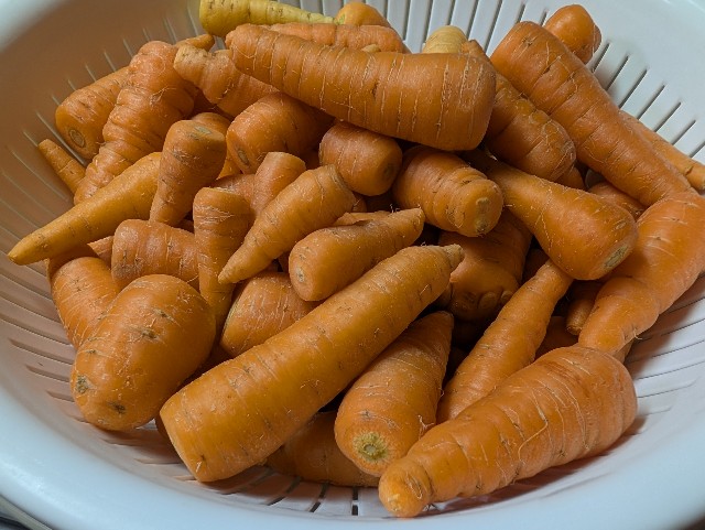 f:id:sakimama0310:20250624212741j:image f:id:sakimama0310:20250624212741j:image