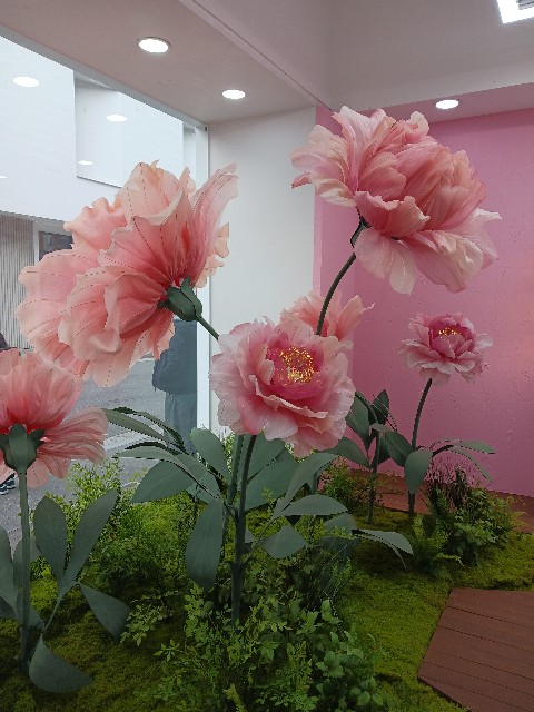 f:id:sakimbap:20250222132210j:image f:id:sakimbap:20250222132210j:image