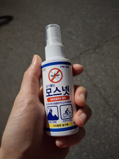 f:id:sakimbap:20251105081429j:image f:id:sakimbap:20251105081429j:image