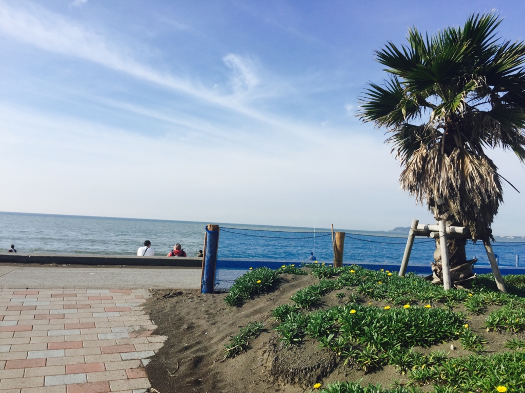 f:id:sakiminami-7:20161121173614j:plain f:id:sakiminami-7:20161121173614j:plain