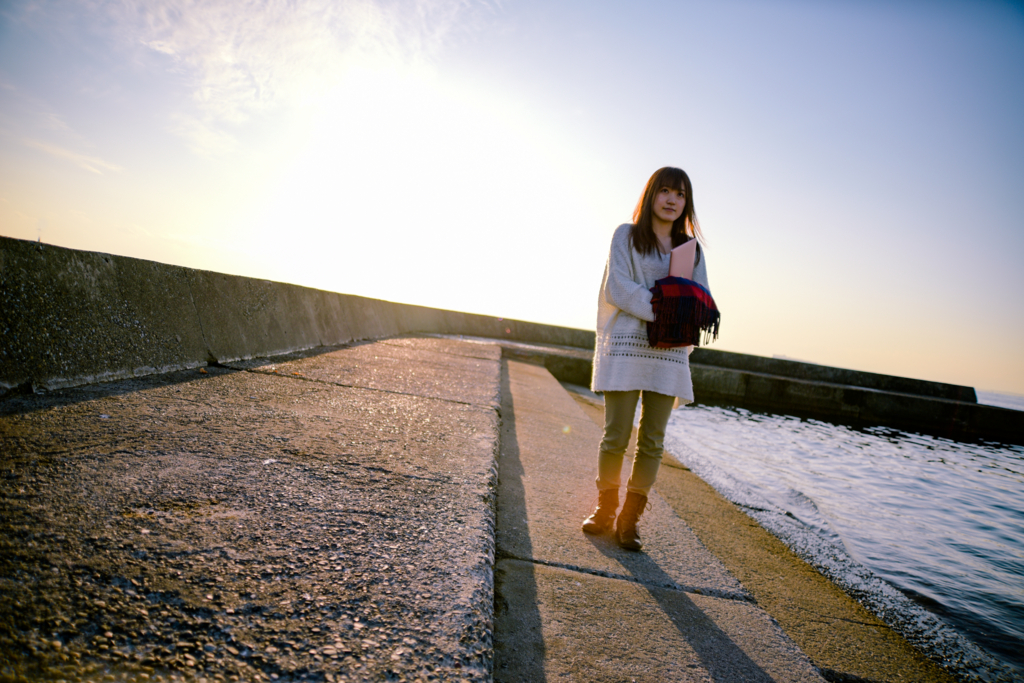 f:id:sakiminami-7:20170317154953j:plain f:id:sakiminami-7:20170317154953j:plain