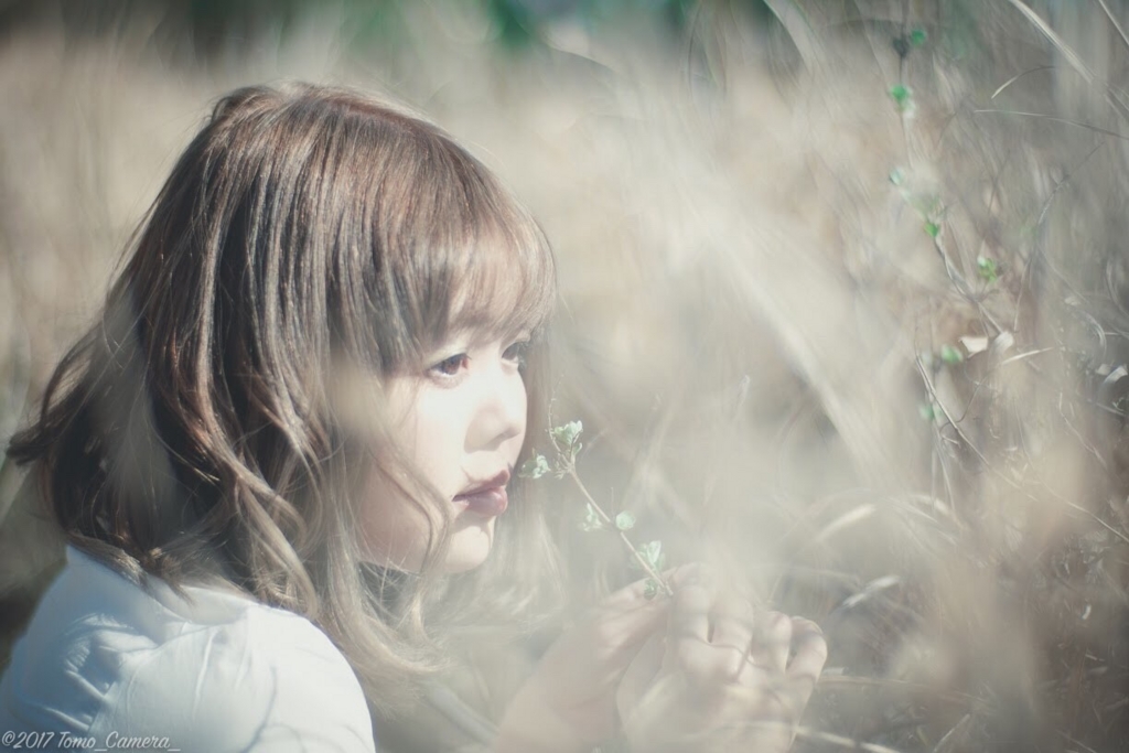 f:id:sakiminami-7:20170519212050j:plain f:id:sakiminami-7:20170519212050j:plain