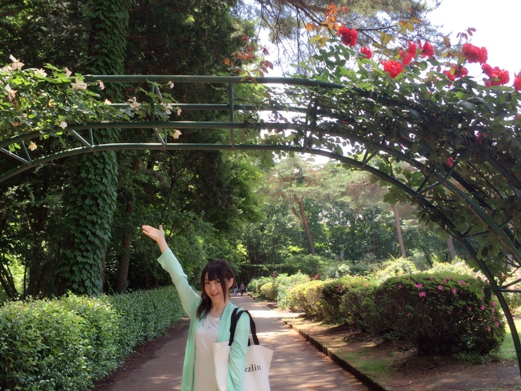 f:id:sakiminami-7:20180209200746j:plain f:id:sakiminami-7:20180209200746j:plain