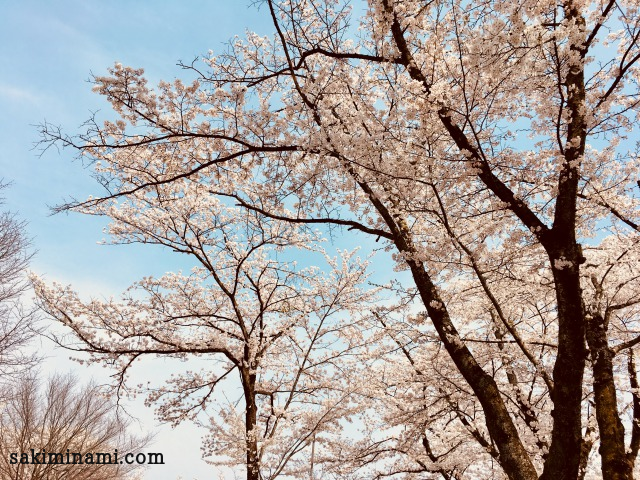 f:id:sakiminami-7:20180425151502p:plain f:id:sakiminami-7:20180425151502p:plain