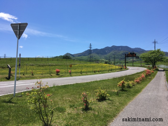 f:id:sakiminami-7:20180523152406p:plain f:id:sakiminami-7:20180523152406p:plain