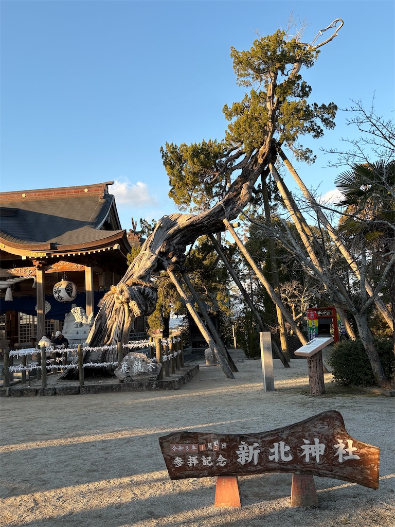 f:id:sakipepa:20260201001513j:image
