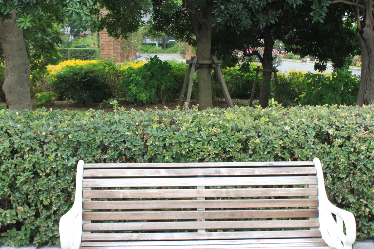 f:id:sakireto:20201106210407j:plain f:id:sakireto:20201106210407j:plain