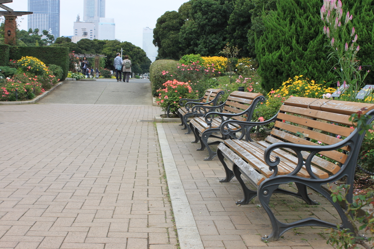 f:id:sakireto:20201106211449j:plain f:id:sakireto:20201106211449j:plain