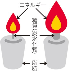 f:id:sakisatan:20210620081038j:image f:id:sakisatan:20210620081038j:image