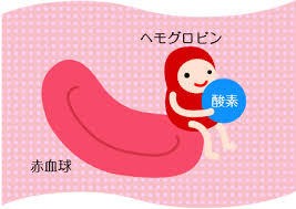 f:id:sakisatan:20210623202539j:image f:id:sakisatan:20210623202539j:image