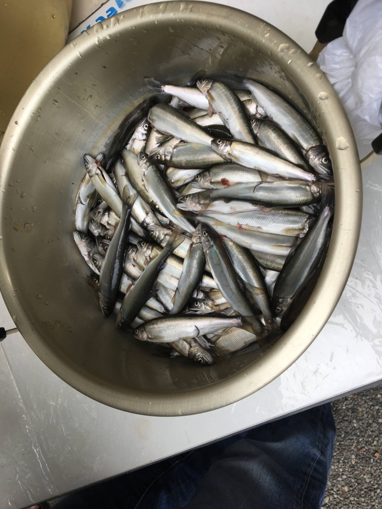 f:id:sakitorijinja:20180722173617j:plain f:id:sakitorijinja:20180722173617j:plain