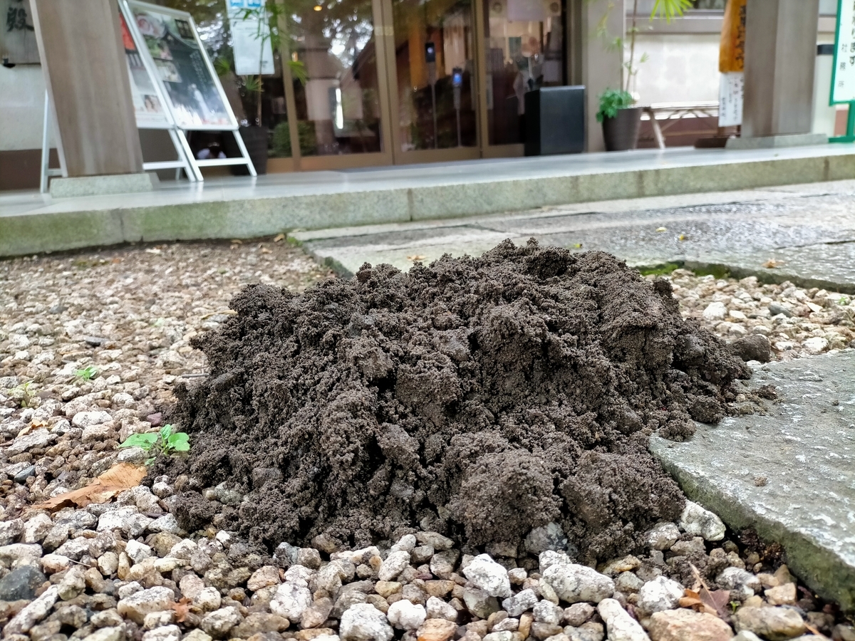 土竜 もぐら 塚 ぶろぐ 前鳥の森から