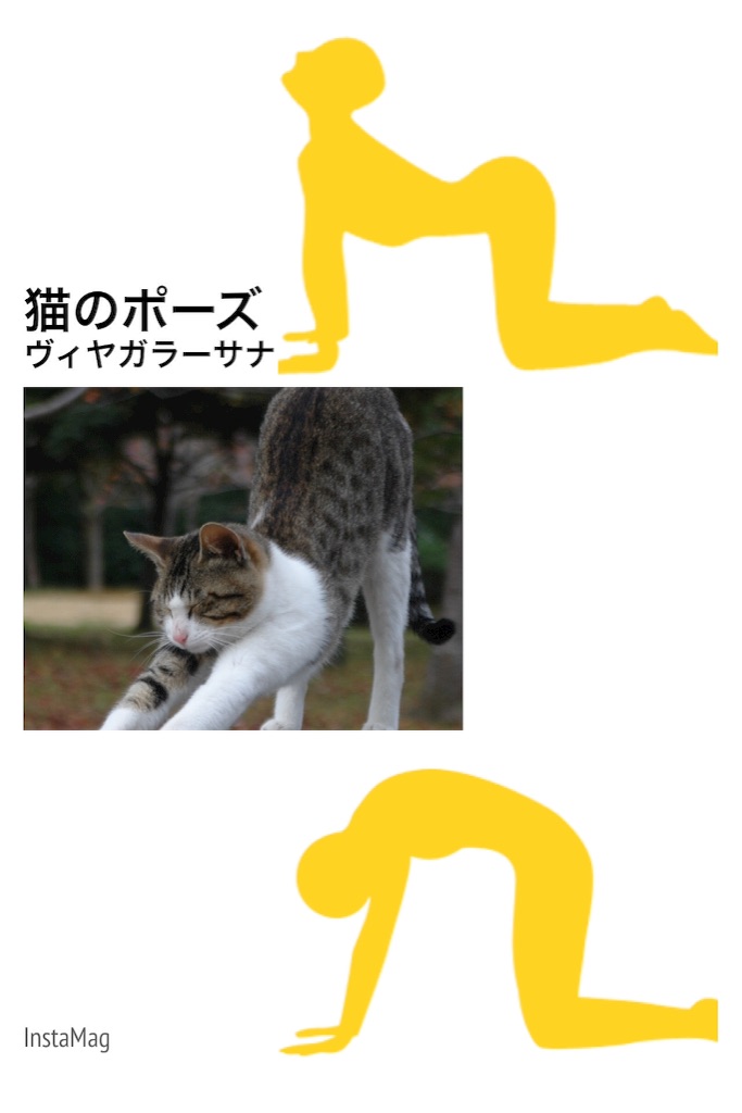 f:id:sakitus_yoga:20150728183948j:image f:id:sakitus_yoga:20150728183948j:image