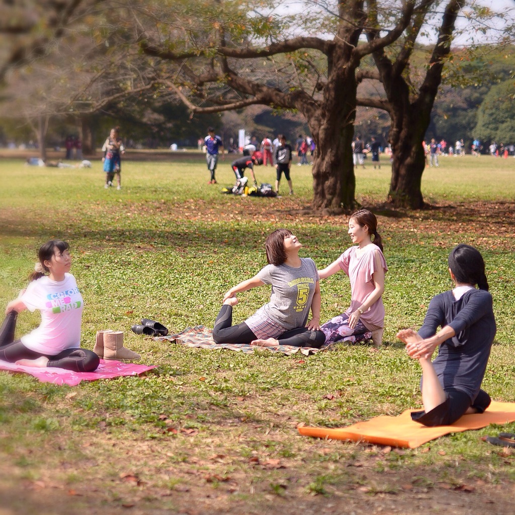 f:id:sakitus_yoga:20160222185117j:image f:id:sakitus_yoga:20160222185117j:image