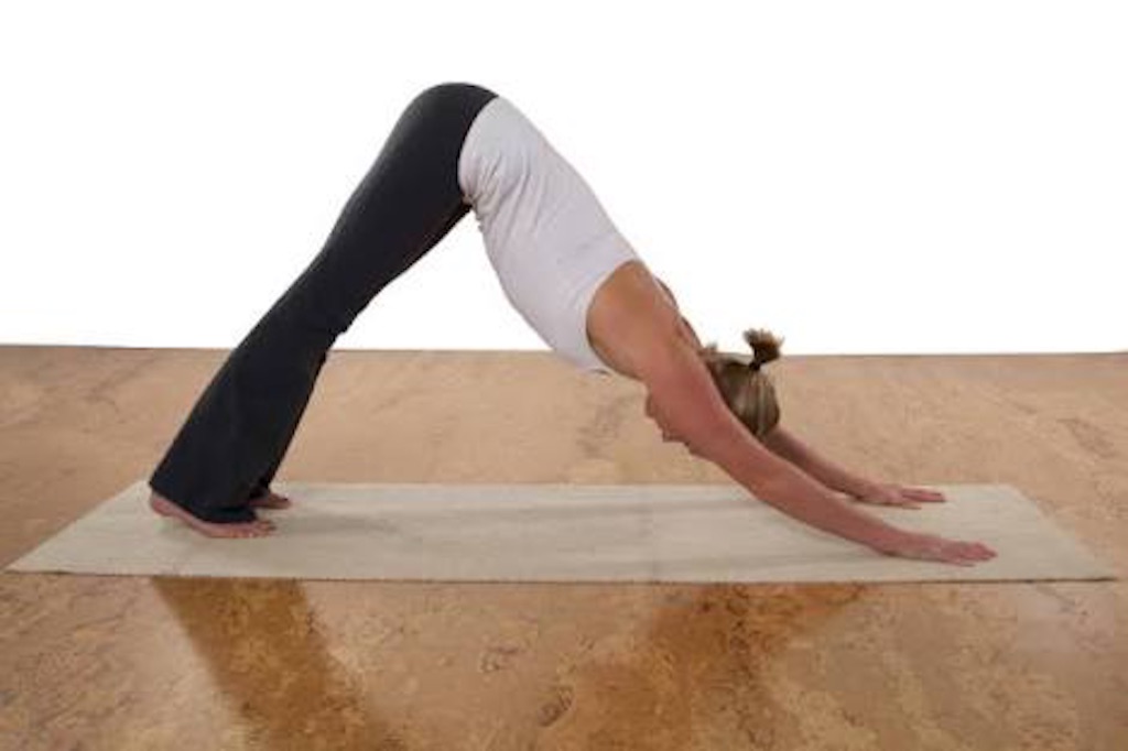 f:id:sakitus_yoga:20160315180920j:image f:id:sakitus_yoga:20160315180920j:image