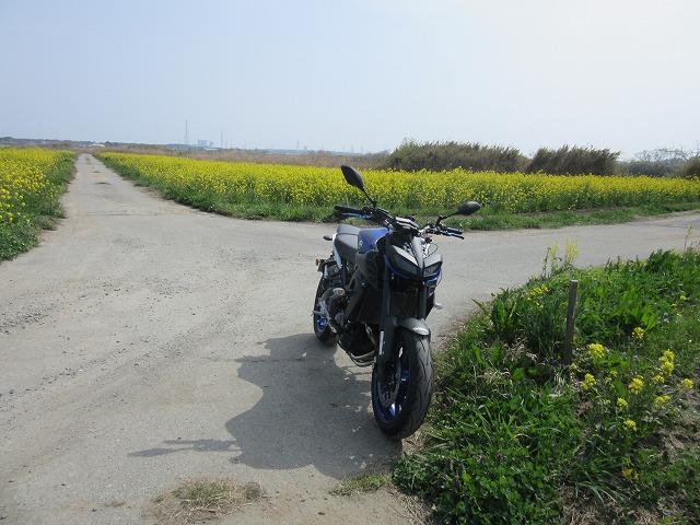 イメージ 2