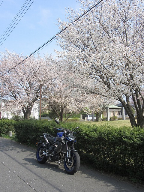 イメージ 6