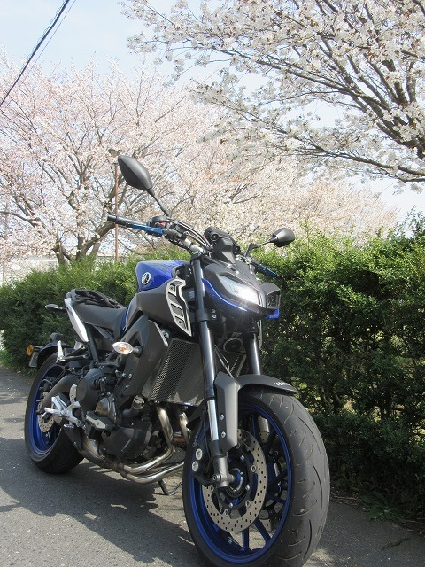 イメージ 7