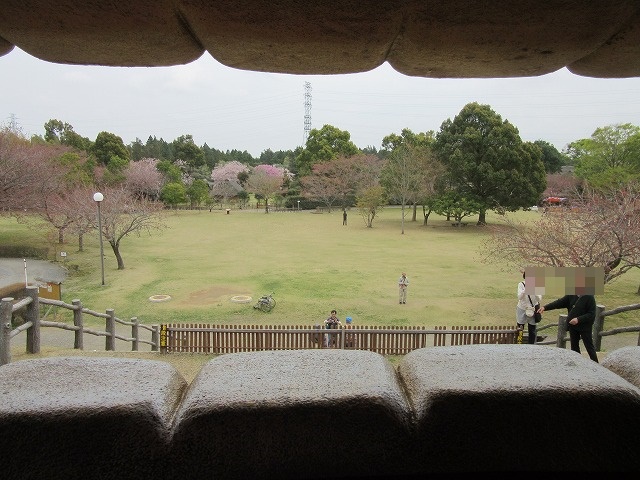 イメージ 19