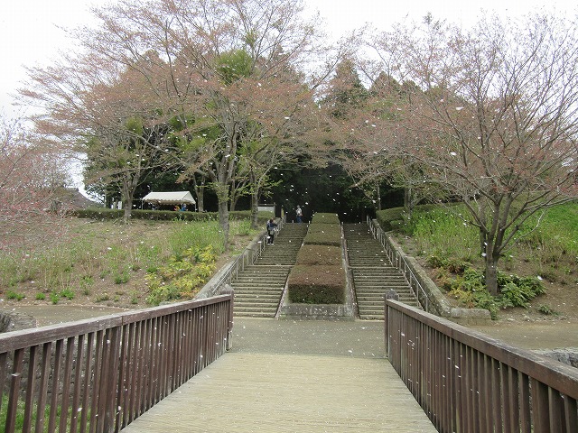イメージ 30