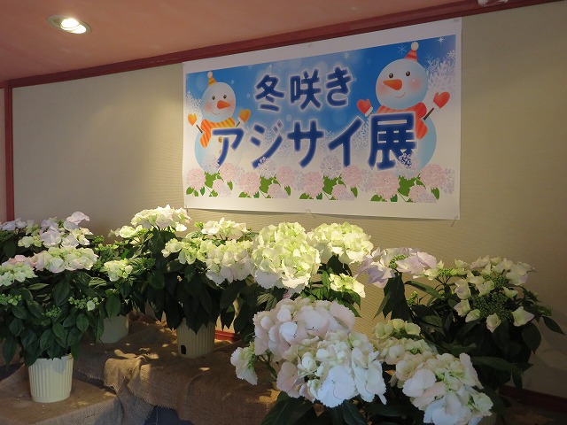 f:id:sakiyuuki:20200317111038j:plain f:id:sakiyuuki:20200317111038j:plain