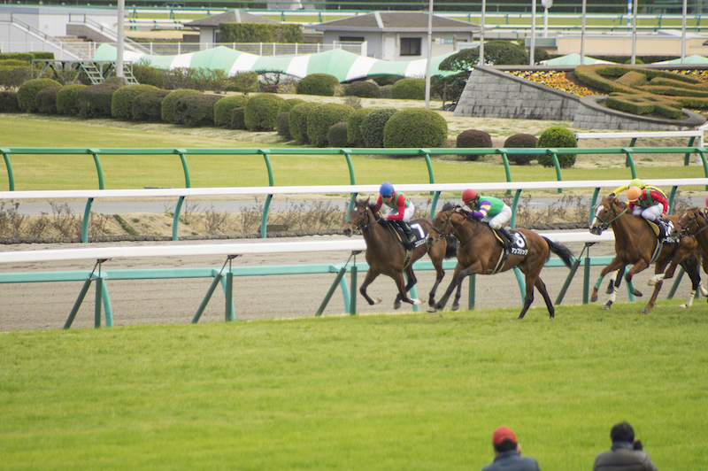中山競馬場