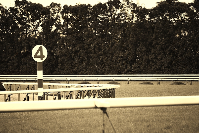 京都競馬場