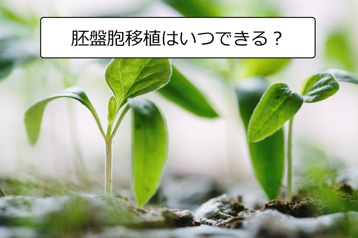 出産予定日 胚盤胞移植